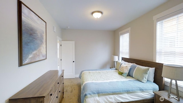 100 Horseshoe Ln, Pacific Beach, WA 98571 - bedroom featuring light carpet and baseboards