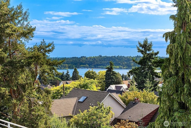 8295 5th Ave NE, Seattle, WA 98115 - photo 23