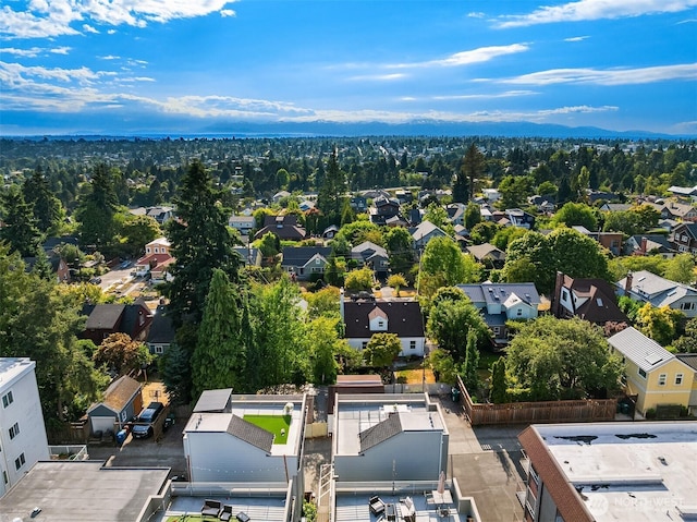 8295 5th Ave NE, Seattle, WA 98115 - photo 37