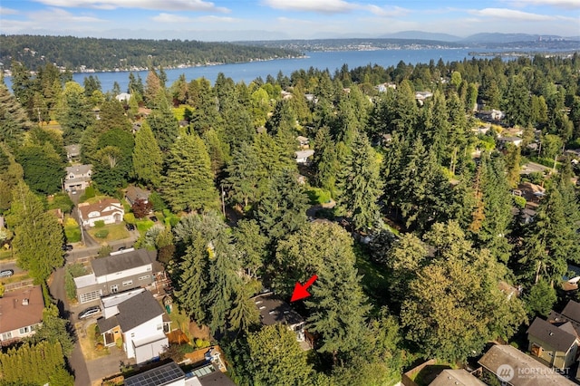 12569 37th Ave NE, Seattle, WA 98125 - photo 40