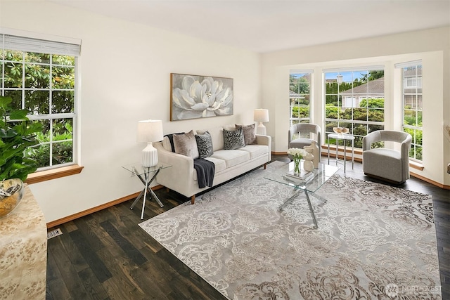 12820 SE 243rd St, Kent, WA 98030 - living room featuring wood finished floors and plenty of natural light