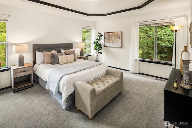 12820 SE 243rd St, Kent, WA 98030 - bedroom with light colored carpet and a tray ceiling