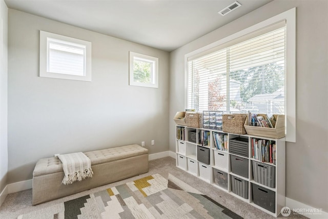 7256 Sanford Pl, Gig Harbor, WA 98335 - photo 18