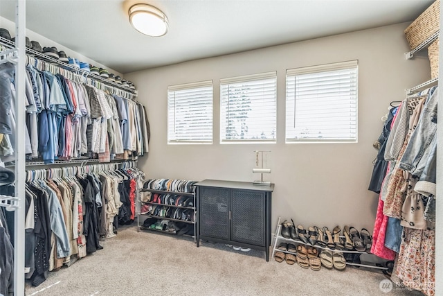 7256 Sanford Pl, Gig Harbor, WA 98335 - photo 23