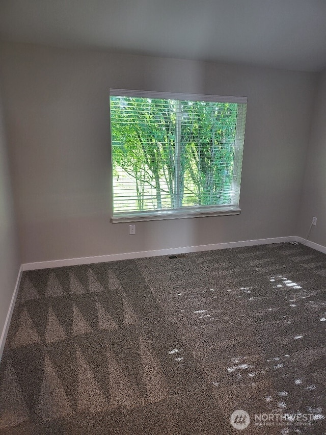 60 Tyce Ln, Mossyrock, WA 98564 - photo 7
