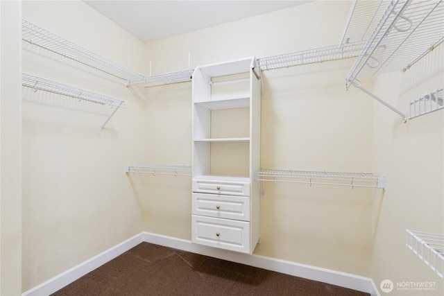 2218 Cascade Ct, Anacortes, WA 98221 - spacious closet featuring dark carpet