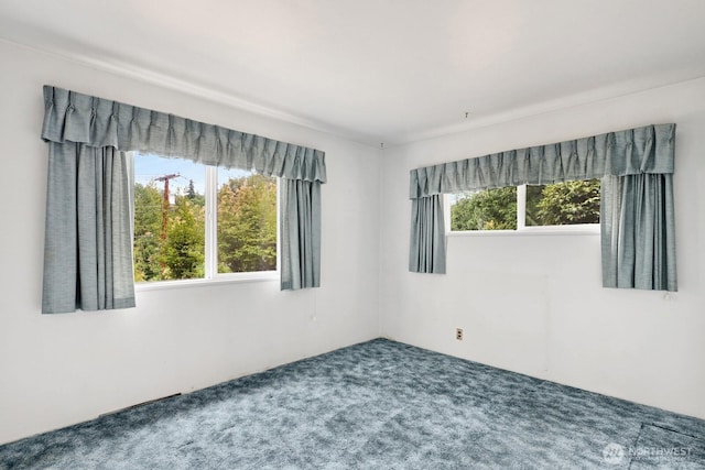 4210 Lakeway Dr, Bellingham, WA 98229 - spare room featuring carpet floors