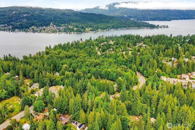 4210 Lakeway Dr, Bellingham, WA 98229 - bird's eye view of a heavily wooded area and a large body of water