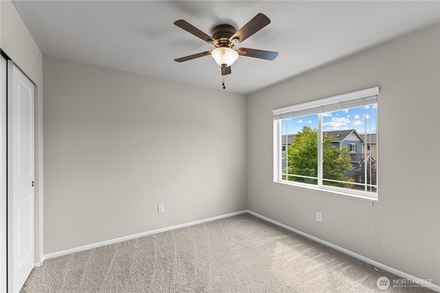 8624 Adonis Ave NE, Lacey, WA 98516 - photo 26