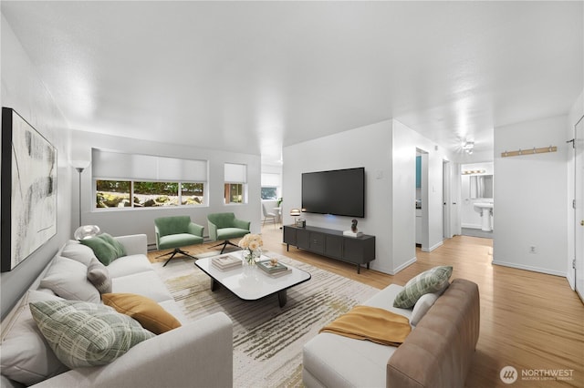 7021 Sand Point Way NE Unit B201, Seattle, WA 98115 - living room featuring light wood finished floors and baseboards
