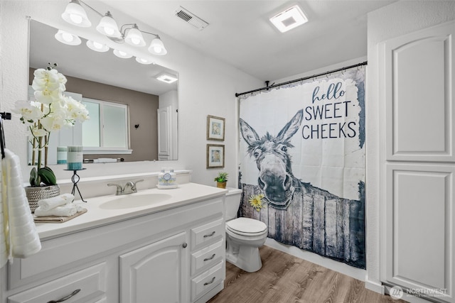 19221 Patterson Rd E, Orting, WA 98360 - bathroom featuring vanity, wood finished floors, and a shower with shower curtain