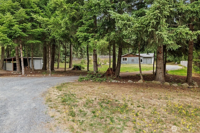 19221 Patterson Rd E, Orting, WA 98360 - view of dirt / gravel driveway