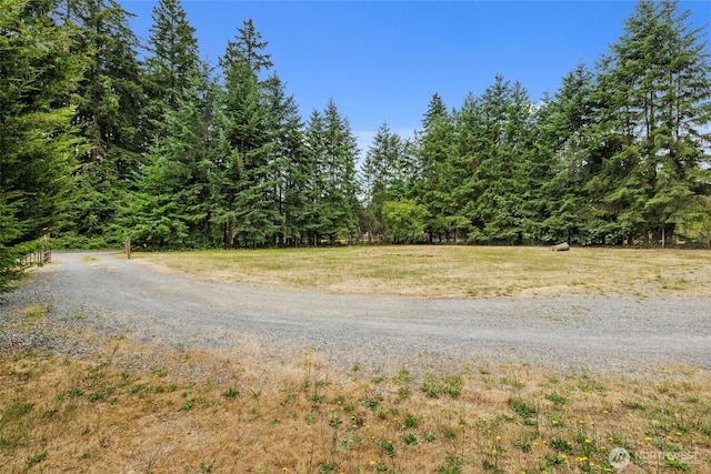 19221 Patterson Rd E, Orting, WA 98360 - view of street with a wooded view