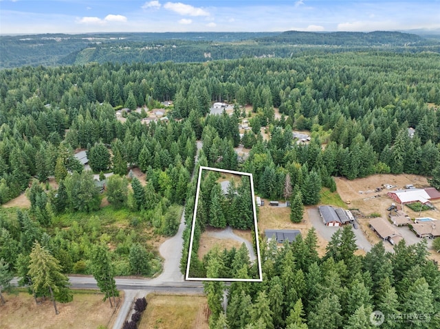 19221 Patterson Rd E, Orting, WA 98360 - aerial view of property's location with property parcel outlined