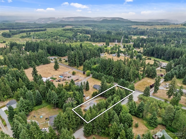 19221 Patterson Rd E, Orting, WA 98360 - aerial view of property and surrounding area with property parcel outlined and a mountain backdrop