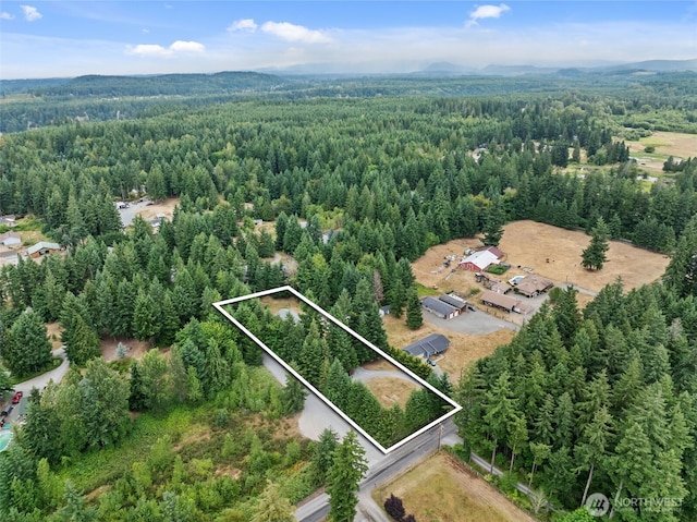 19221 Patterson Rd E, Orting, WA 98360 - aerial view of property and surrounding area featuring a heavily wooded area and property boundaries highlighted