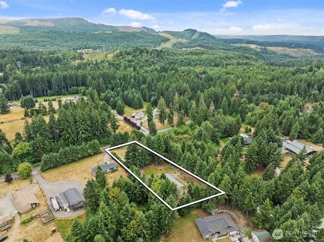 19221 Patterson Rd E, Orting, WA 98360 - aerial view of property's location featuring property parcel outlined and a mountain backdrop