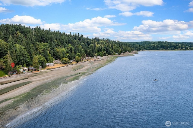 11212 SW 125th St, Vashon, WA 98070 - drone / aerial view of a large body of water