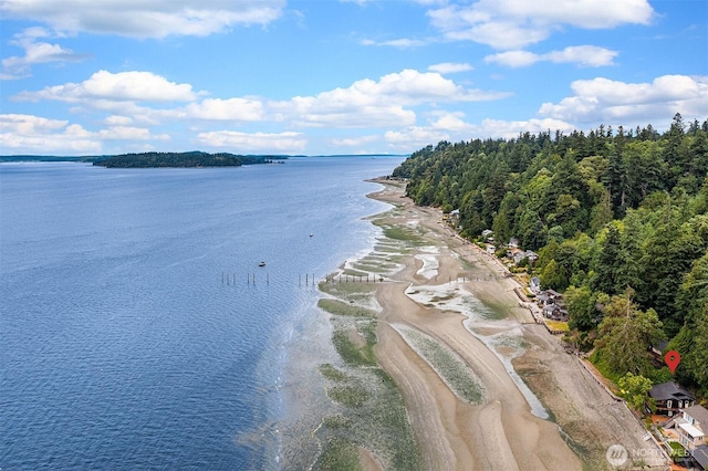 11212 SW 125th St, Vashon, WA 98070 - water view with local beach