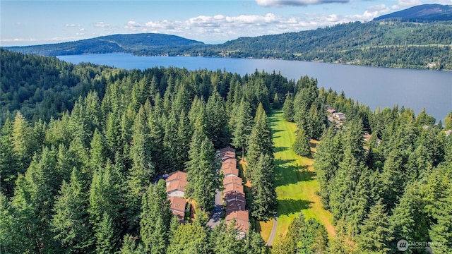 11 Horizon Hill Ln Unit 12, Bellingham, WA 98229 - photo 31
