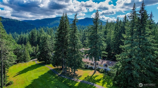 11 Horizon Hill Ln Unit 12, Bellingham, WA 98229 - photo 32