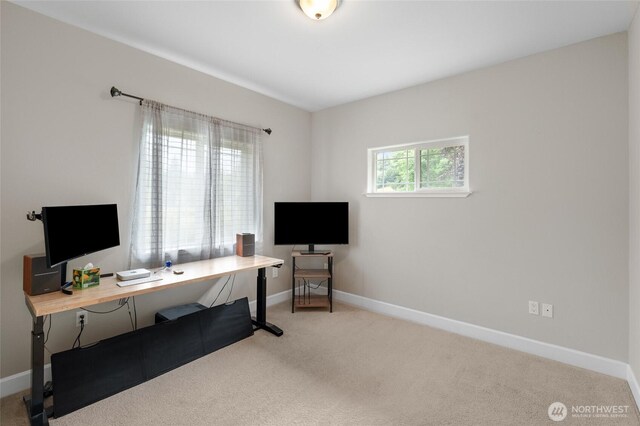 10 Legacy Ln, Elma, WA 98541 - home office with carpet and baseboards