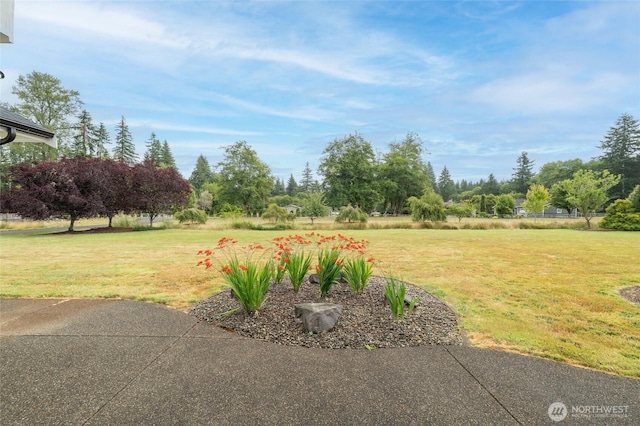 10 Legacy Ln, Elma, WA 98541 - view of grassy yard