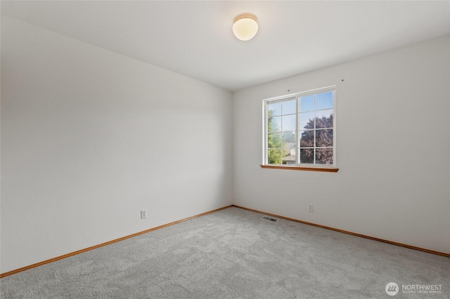 17284 157th St SE, Monroe, WA 98272 - photo 29