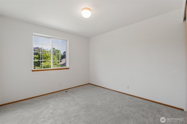 17284 157th St SE, Monroe, WA 98272 - photo 30