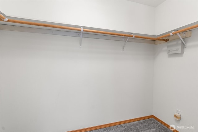 7104 84th St E, Puyallup, WA 98371 - walk in closet featuring carpet