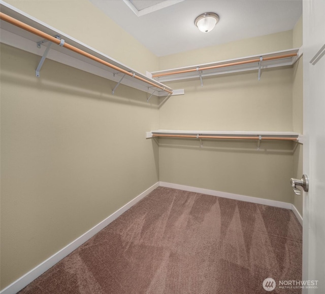 15230 Kayla St SE, Yelm, WA 98597 - spacious closet featuring carpet