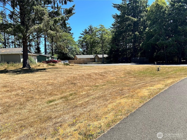 604 Sollecks Ave SE, Ocean Shores, WA 98569 - photo 14
