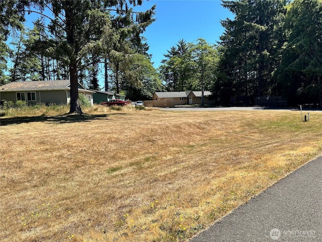 604 Sollecks Ave SE, Ocean Shores, WA 98569 - photo 15