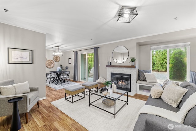 12618 109th Ct NE Unit H102, Kirkland, WA 98034 - living room featuring a fireplace with flush hearth, light wood-style flooring, and crown molding
