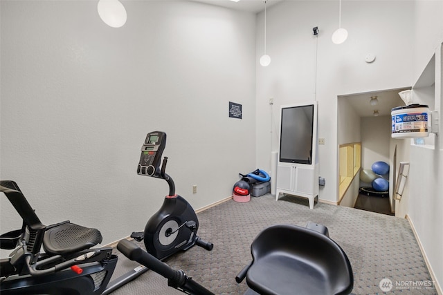 12618 109th Ct NE Unit H102, Kirkland, WA 98034 - workout area featuring carpet and a high ceiling