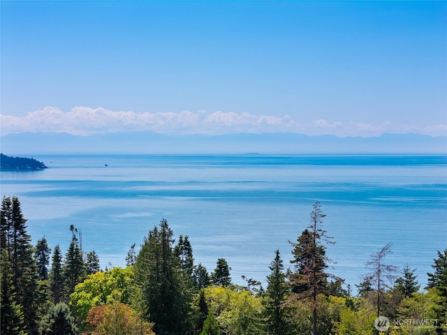 4158 Islander Way, Anacortes, WA 98221 - photo 5