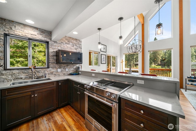18725 River Rd, Leavenworth, WA 98826 - kitchen featuring stainless steel electric stove, a peninsula, light wood-style flooring, decorative backsplash, and beam ceiling