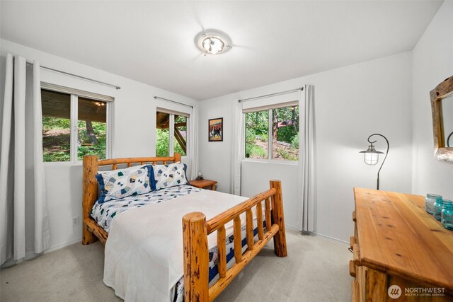 18725 River Rd, Leavenworth, WA 98826 - bedroom with light carpet