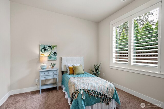 3718 Fox Ct, Gig Harbor, WA 98335 - photo 21