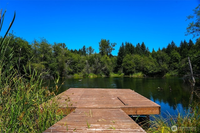 21500 Tono Rd SE, Centralia, WA 98531