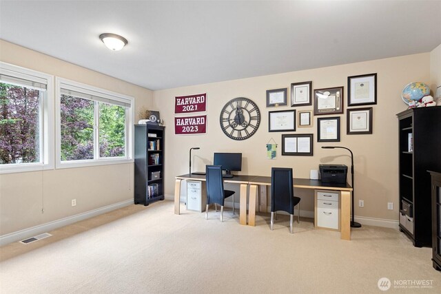 4569 162nd Ln SE, Bellevue, WA 98006 - office space featuring light colored carpet