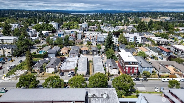 9037-9041 16th Ave SW, Seattle, WA 98106 - photo 11