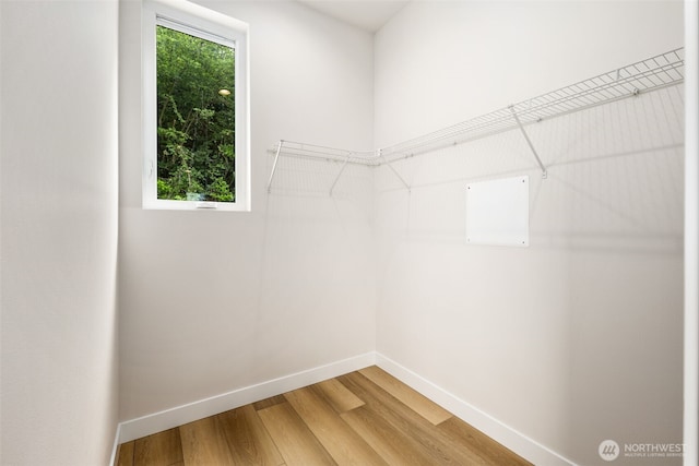 9694 51st Ave S, Seattle, WA 98118 - walk in closet with light wood-style floors