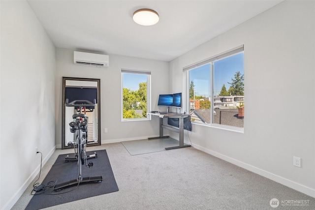 8020 17th Ave NW, Seattle, WA 98117 - photo 14