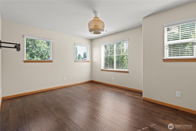 2005 Shattuck Ave S, Renton, WA 98055 - photo 34