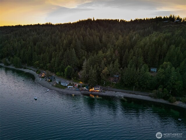 9661 NE N Shore Rd, Belfair, WA 98528 - photo 35