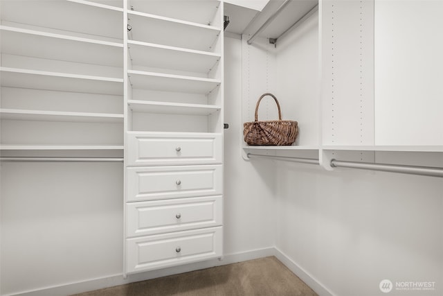 2607 Western Ave Unit 655, Seattle, WA 98121 - walk in closet featuring carpet flooring