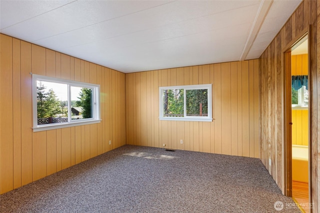 1012 Park St, Friday Harbor, WA 98250 - photo 13