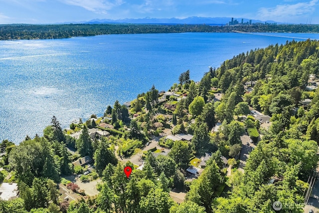 4148 Boulevard Pl, Mercer Island, WA 98040 - bird's eye view of a water and mountain view