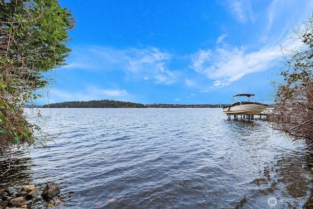 4148 Boulevard Pl, Mercer Island, WA 98040 - dock with boat lift and a water view